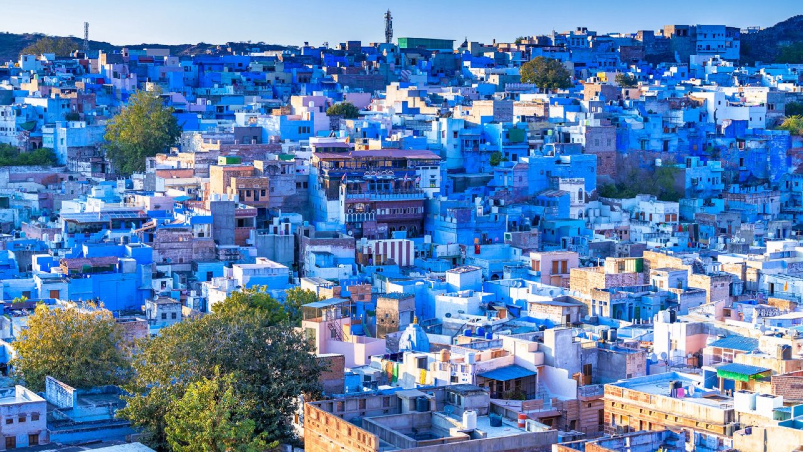 Udaipur  Rajasthan